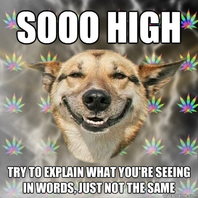 sooo high try to explain what you're seeing in words, just not the same  Stoner Dog