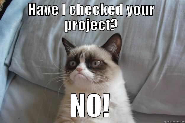 HAVE I CHECKED YOUR PROJECT? NO! Grumpy Cat