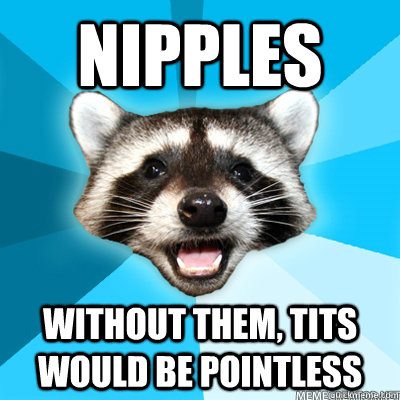 Nipples WITHOUT THEM, TITS WOULD BE POINTLESS  Lame Pun Raccoon