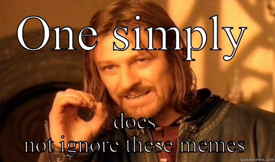 ONE SIMPLY DOES NOT IGNORE THESE MEMES Boromir
