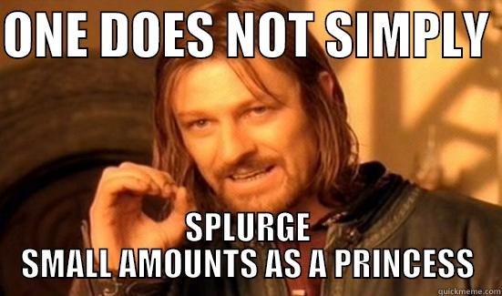 ONE DOES NOT SIMPLY  SPLURGE SMALL AMOUNTS AS A PRINCESS Boromir