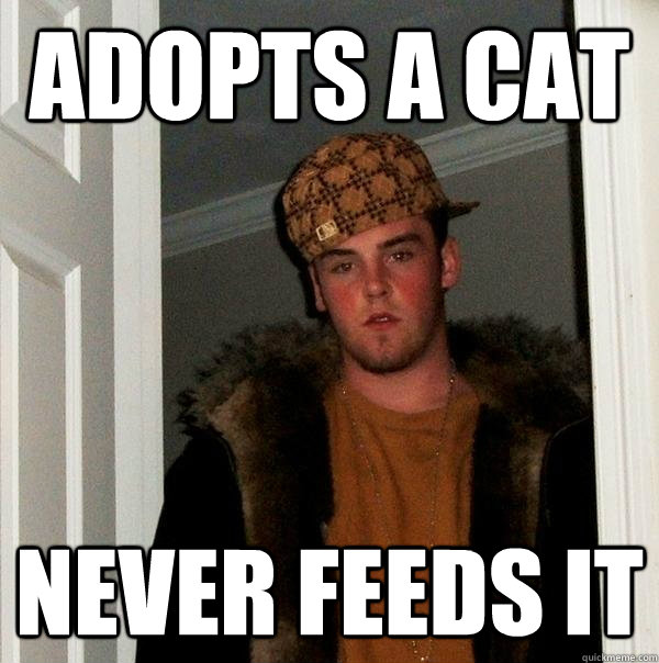 adopts a cat never feeds it  Scumbag Steve