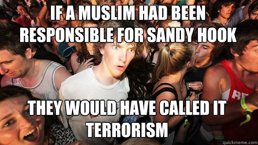 If a Muslim had been responsible for Sandy Hook
 They would have called it Terrorism  Sudden Clarity Clarence
