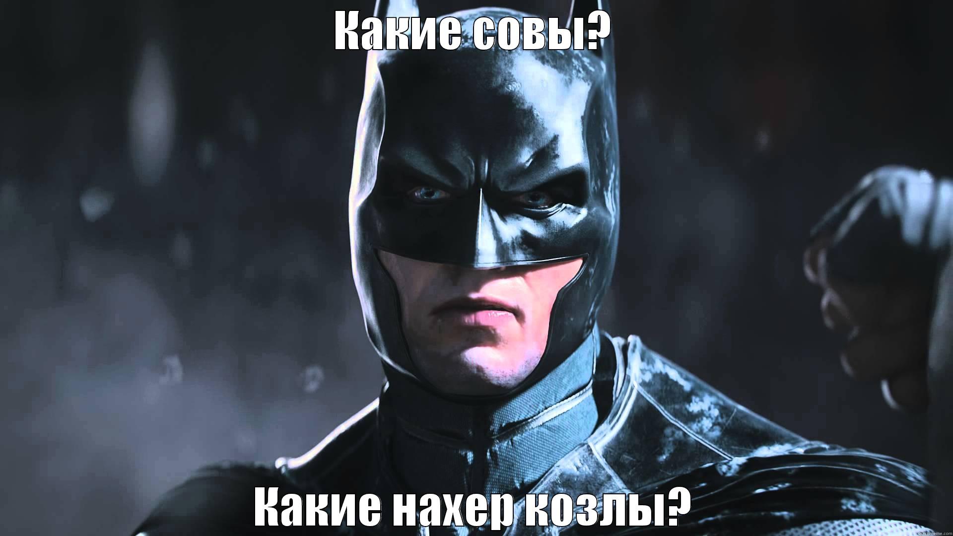 КАКИЕ СОВЫ? КАКИЕ НАХЕР КОЗЛЫ? Misc