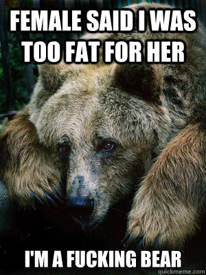 female said i was too fat for her i'm a fucking bear - female said i was too fat for her i'm a fucking bear  Sad Bear