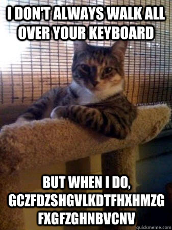 I don't always walk all over your keyboard but when i do, gczfdzshgvlkdtfhxhmzgfxgfzghnbvcnv  The Most Interesting Cat in the World