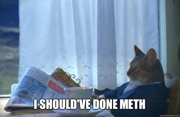 I should've done meth  Sophisticated Cat