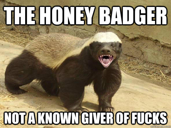 The honey badger not a known giver of fucks  