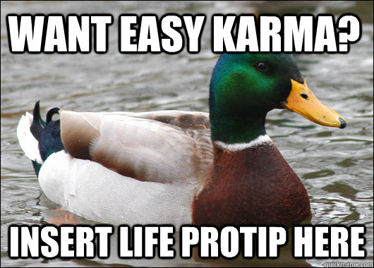 Want easy karma? INSERT LIFE PROTIP HERE  Actual Advice Mallard