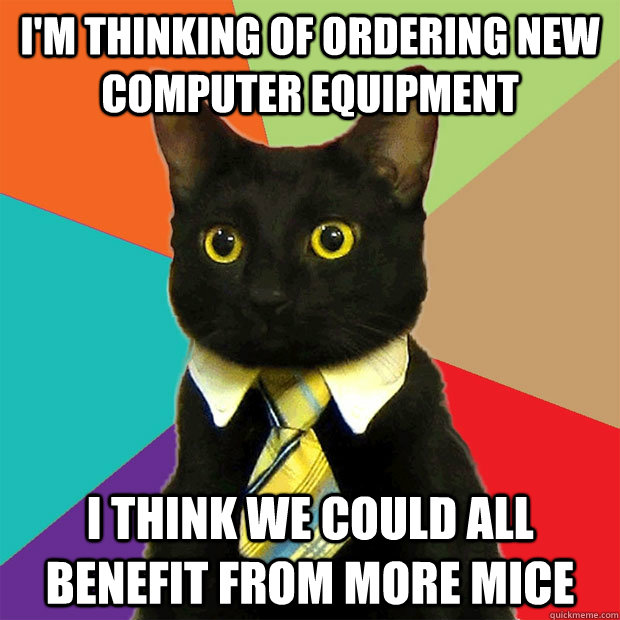 i'm thinking of ordering new computer equipment i think we could all benefit from more mice  Business Cat