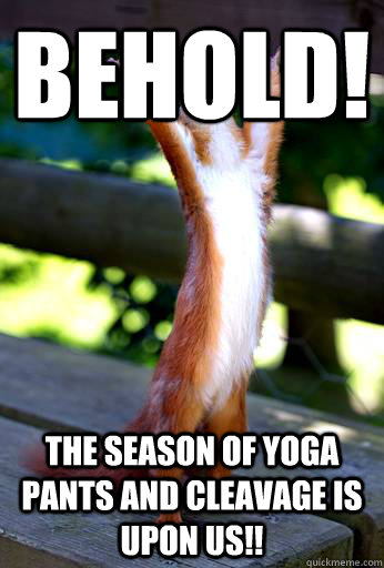 Behold! The season of yoga pants and cleavage is upon us!!  