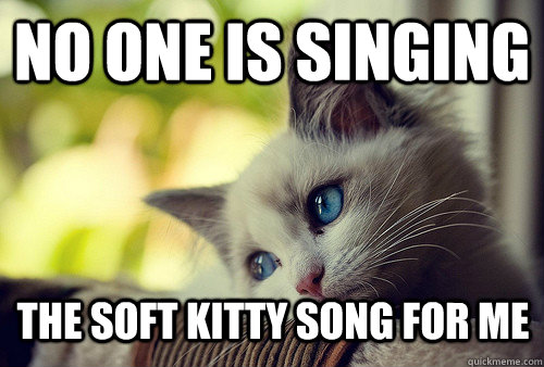 No one is singing the soft kitty song for me  First World Problems Cat