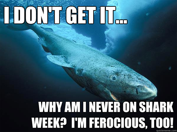 I don't get it... Why am I never on Shark Week?  I'm ferocious, too! - I don't get it... Why am I never on Shark Week?  I'm ferocious, too!  Depressed Greenland Shark