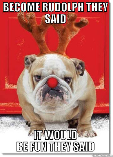 BECOME RUDOLPH THEY SAID IT WOULD BE FUN THEY SAID Misc