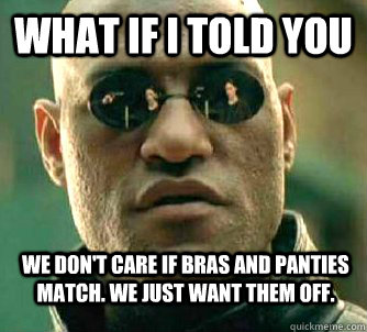 What if i told you we don't care if bras and panties match. We just want them off. - What if i told you we don't care if bras and panties match. We just want them off.  WhatIfIToldYouBing