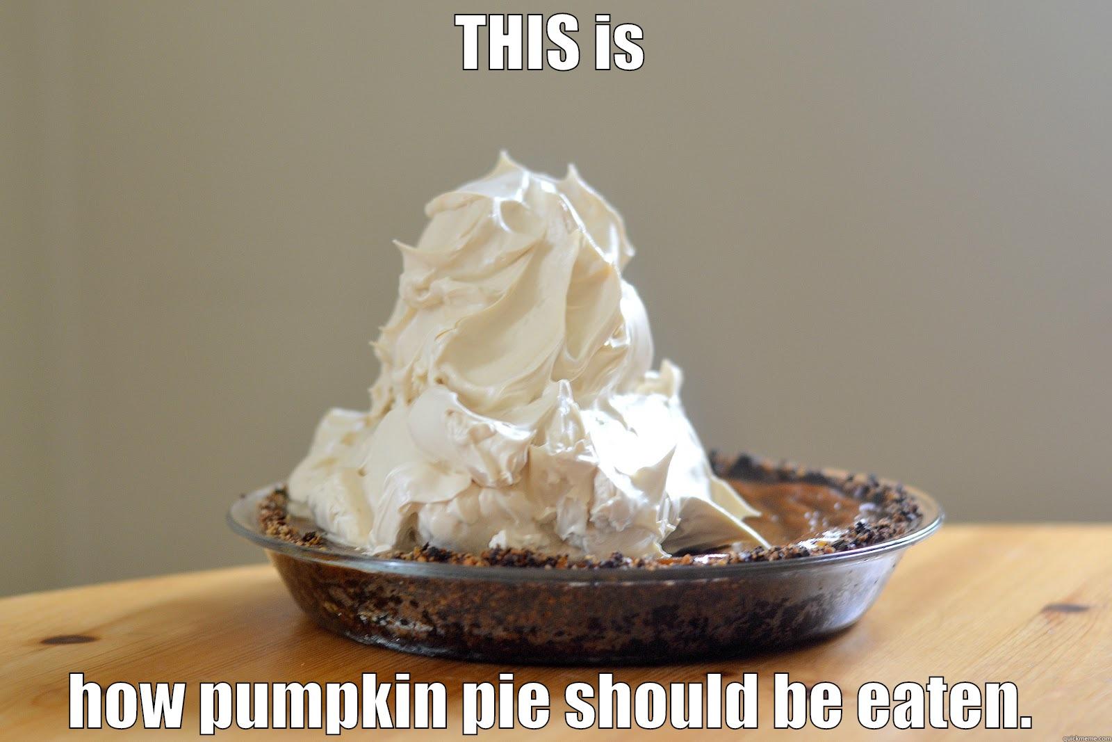 THIS IS HOW PUMPKIN PIE SHOULD BE EATEN. Misc