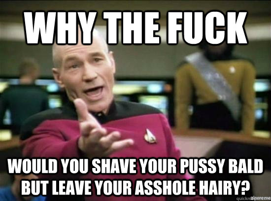 Why the fuck would you shave your pussy bald but leave your asshole hairy? - Why the fuck would you shave your pussy bald but leave your asshole hairy?  Annoyed Picard HD