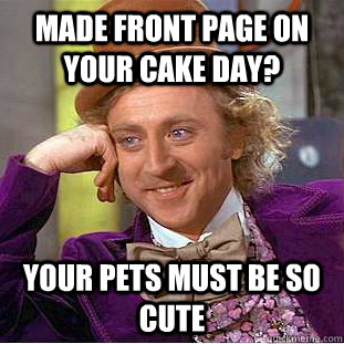 Made front page on your cake day? YOur pets must be so cute  Creepy Wonka