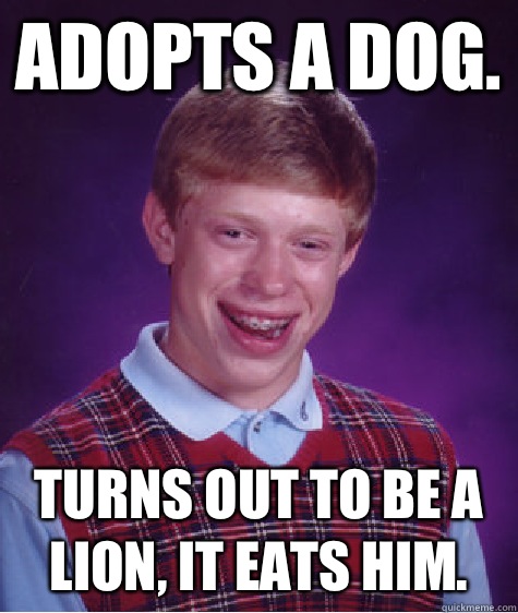 Adopts a dog. Turns out to be a lion, it eats him.  Bad Luck Brian