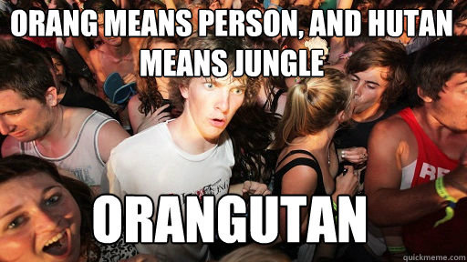 orang means person, AND hutan means jungle ORANGUTAN  Sudden Clarity Clarence
