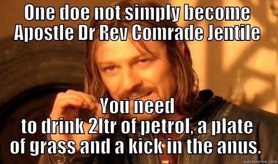 ONE DOE NOT SIMPLY BECOME APOSTLE DR REV COMRADE JENTILE YOU NEED TO DRINK 2LTR OF PETROL, A PLATE OF GRASS AND A KICK IN THE ANUS.  Boromir