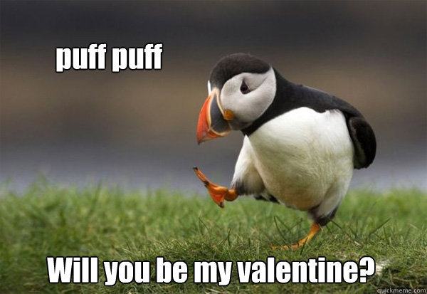 puff puff Will you be my valentine?  Puffin