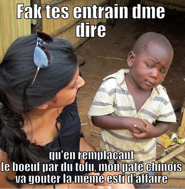 FAK TES ENTRAIN DME DIRE QU'EN REMPLAÇANT LE BOEUF PAR DU TOFU, MON PATÉ CHINOIS VA GOUTER LA MÊME ESTI D'AFFAIRE Skeptical Third World Kid