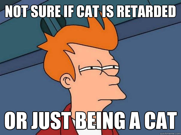 Not sure if cat is retarded or just being a cat - Not sure if cat is retarded or just being a cat  Futurama Fry