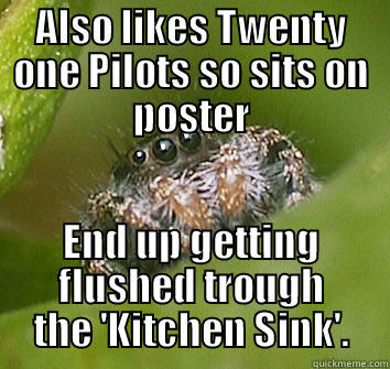 ALSO LIKES TWENTY ONE PILOTS SO SITS ON POSTER END UP GETTING FLUSHED TROUGH THE 'KITCHEN SINK'. Misunderstood Spider