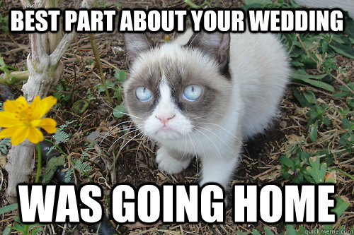 Best part about your wedding was going home - Best part about your wedding was going home  gRUMPY CAT FLOWER