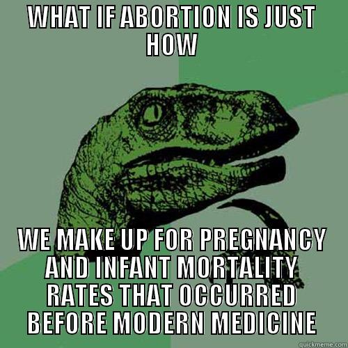WHAT IF ABORTION IS JUST HOW WE MAKE UP FOR PREGNANCY AND INFANT MORTALITY RATES THAT OCCURRED BEFORE MODERN MEDICINE Philosoraptor
