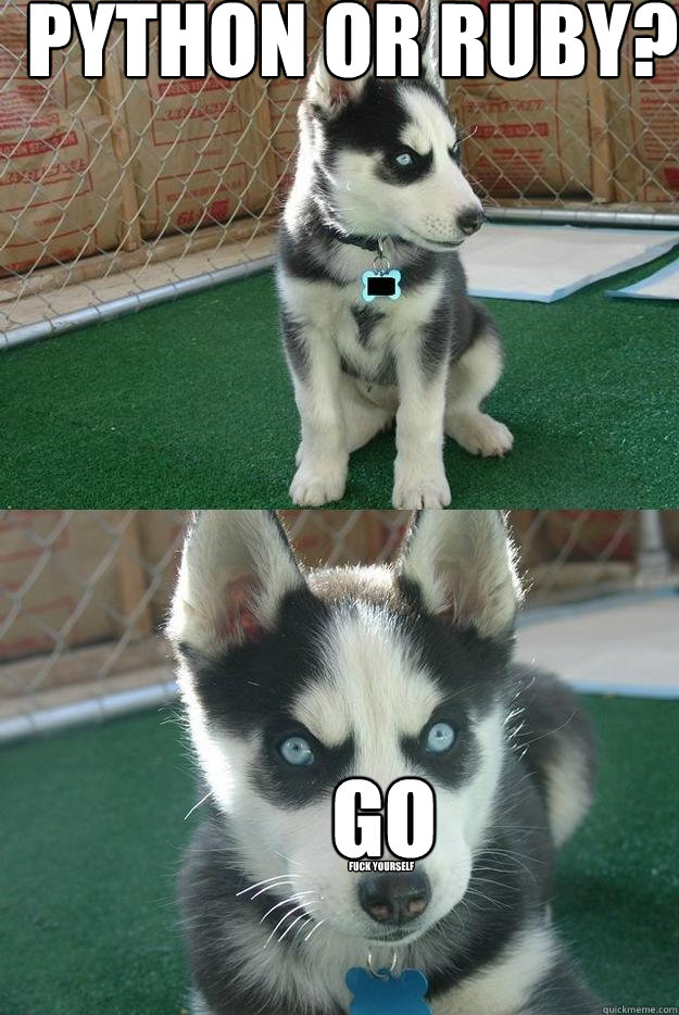 Python or Ruby? Go fuck yourself  Insanity puppy