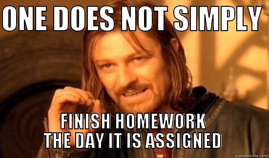 ONE DOES NOT SIMPLY  FINISH HOMEWORK THE DAY IT IS ASSIGNED Boromir