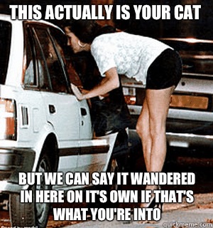 This actually is your cat But we can say it wandered in here on it's own if that's what you're into  Karma Whore