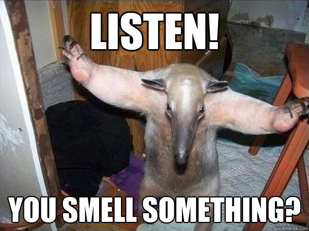 LISTEN! You smell something?  I got this