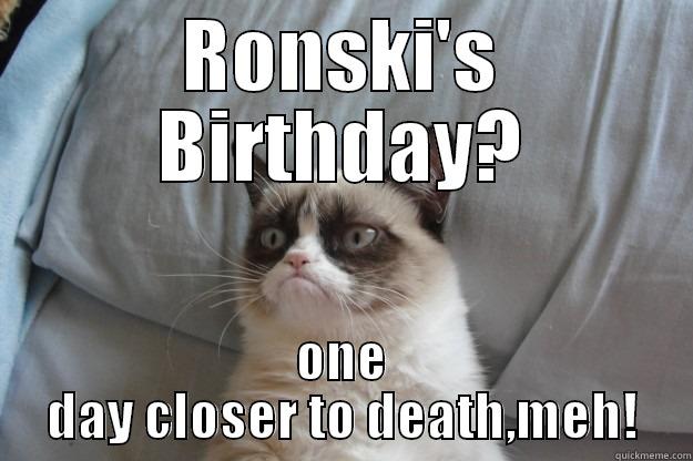 RONSKI'S BIRTHDAY? ONE DAY CLOSER TO DEATH,MEH! Grumpy Cat