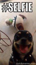 #SELFIE  Misc