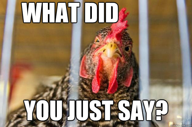 what did you just say?  Angry cock