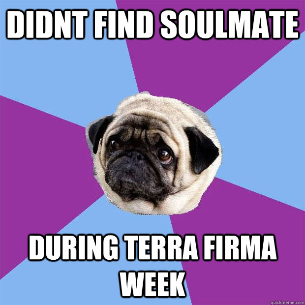 Didnt Find Soulmate During Terra Firma Week  Lonely Pug