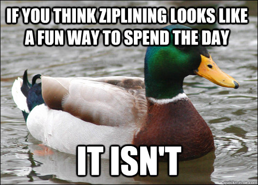 if you think ziplining looks like a fun way to spend the day it isn't  Actual Advice Mallard