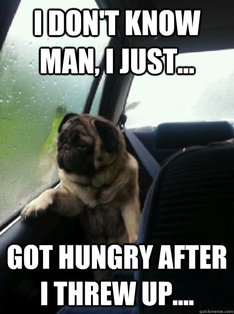 I don't know man, I just... Got hungry after I threw up....  Introspective Pug