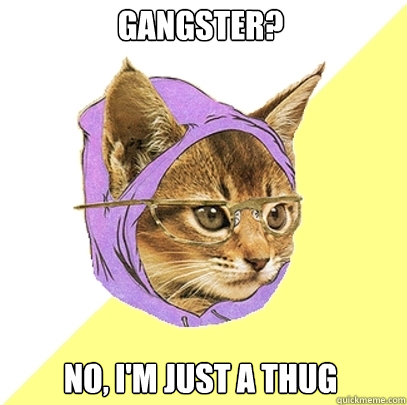 gangster? no, i'm just a thug  Hipster Kitty