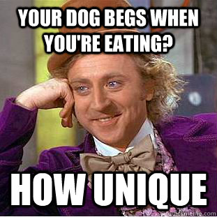 Your dog begs when you're eating? How unique  Creepy Wonka
