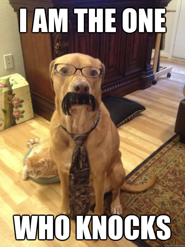 I am the one who knocks - I am the one who knocks  Professor Dog