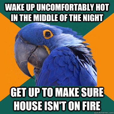 Wake up uncomfortably hot in the middle of the night Get up to make sure house isn't on fire  Paranoid Parrot
