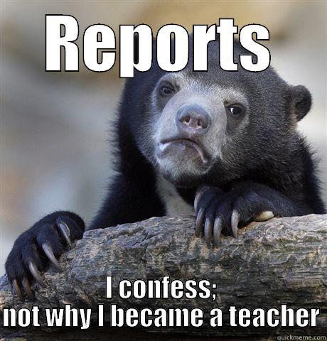 REPORTS I CONFESS; NOT WHY I BECAME A TEACHER Confession Bear