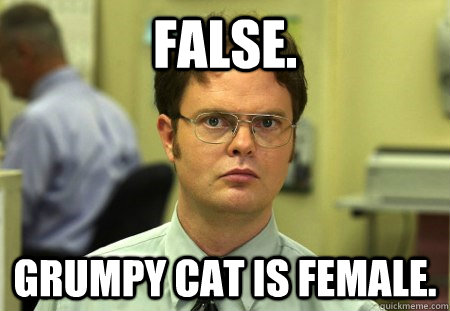 False. Grumpy Cat is female.  Dwight K Schrute