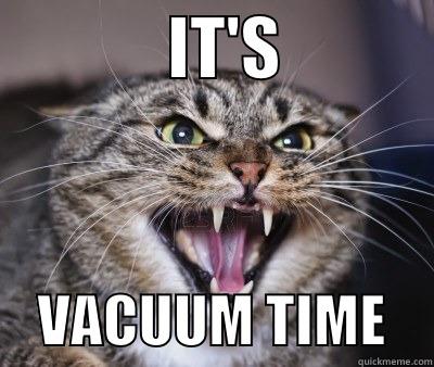 its vacuum time -             IT'S                VACUUM TIME    Misc