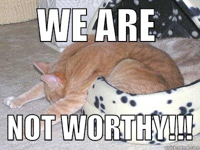 We Are Not Worthy!!! -      WE ARE         NOT WORTHY!!! Misc