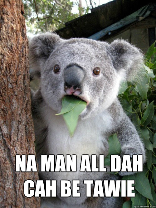 na man all dah 
cah be tawie 
  Surprised Koala